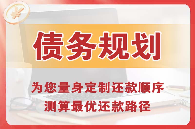 孝感债务规划